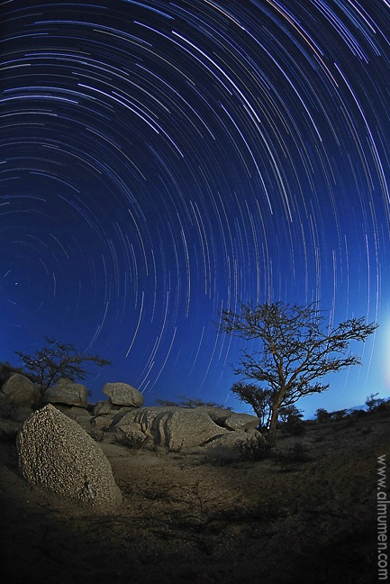 Star Trails above Taif