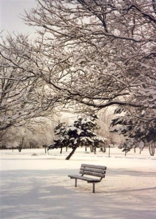Winter at the park