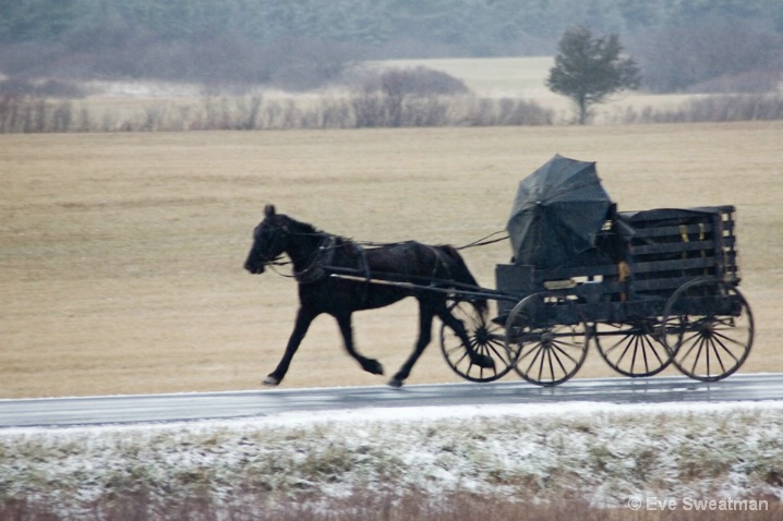 Cold Amish Morning