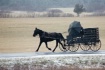 Cold Amish Mornin...