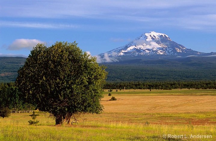          Mt.Adams Morning