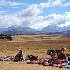 © Denise Bierley PhotoID # 5485679: Market at the Pass