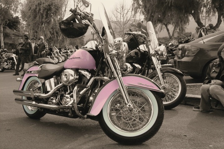 My Pink Harley @ Tom's Farms - Corona