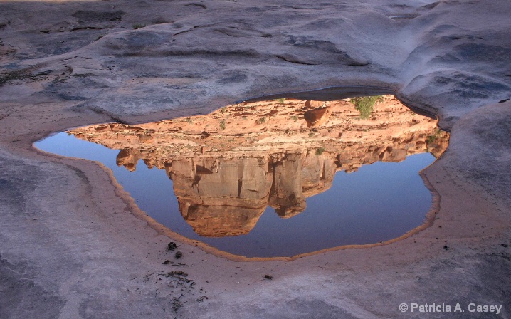Red Rock Reflection - Moab, UT - ID: 5488402 © Patricia A. Casey