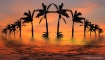 Tropical Flood