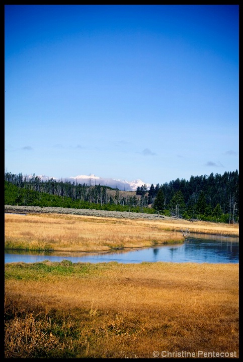 Yellowstone