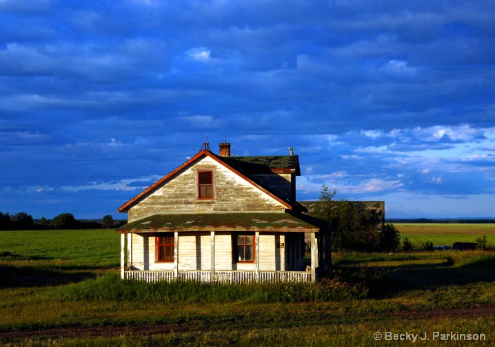 Lonely and Weathered in Northern Alberta
