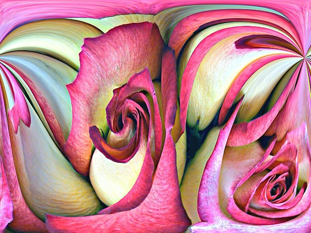 Rose Waves