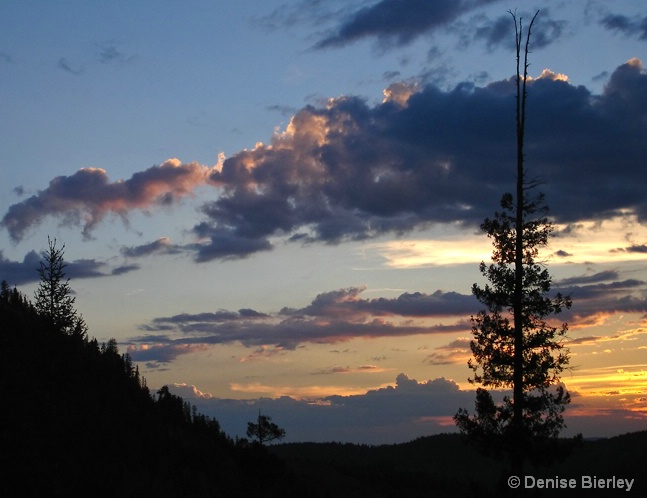 jemez_sunset - ID: 5511313 © Denise Bierley