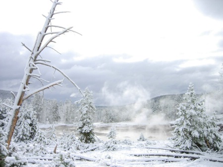 yellowstone in winter 