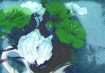 strange carnation...