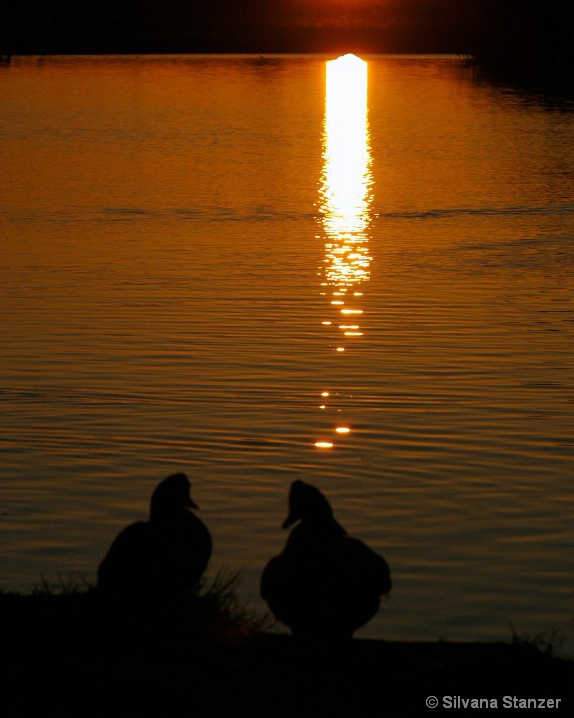Romantic Evening at the Lake