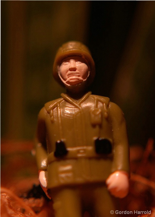 Soldier On
