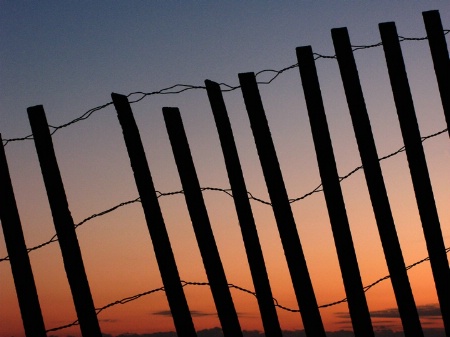 Sunrise-Snow Fence