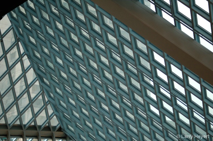 Seattle Public Library- January 2008