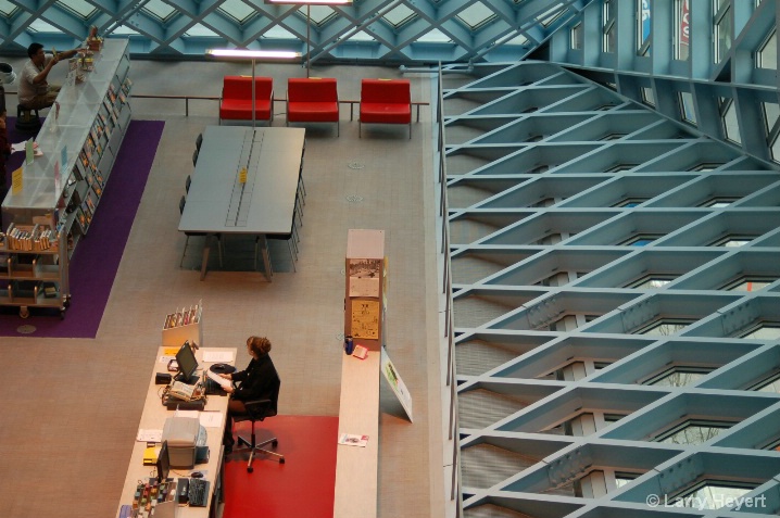 Seattle Public Library- January 2008