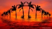Tropical Flood in...