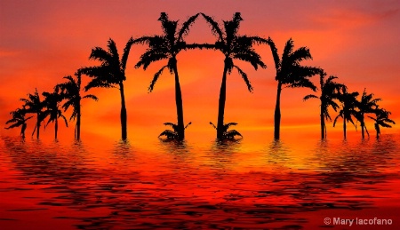 Tropical Flood in Red