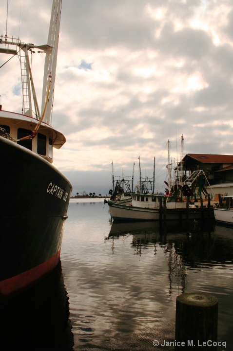 marine_scene_tweaked - ID: 5560863 © Janice M. LeCocq