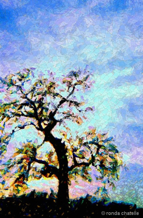 OAK TREE