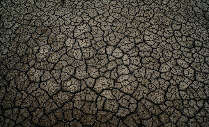 Patterns on a Scorched Earth