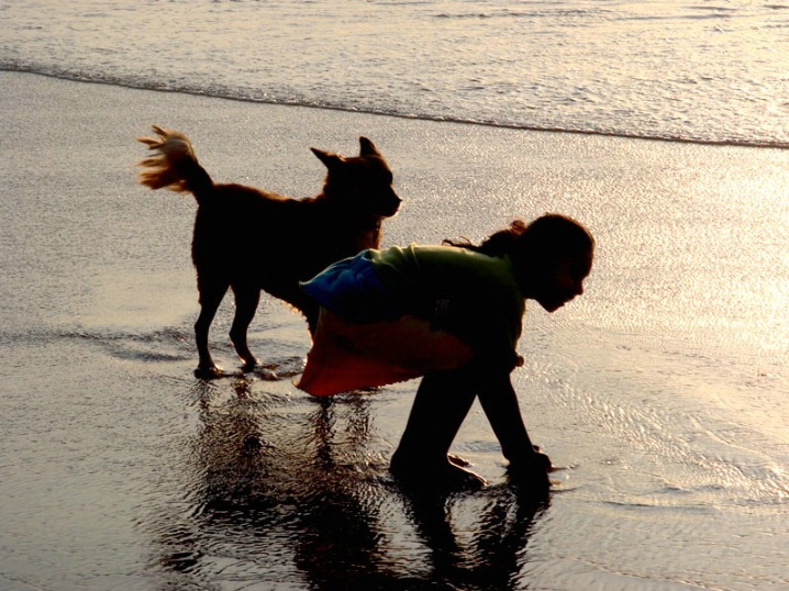 Playing by the Beach