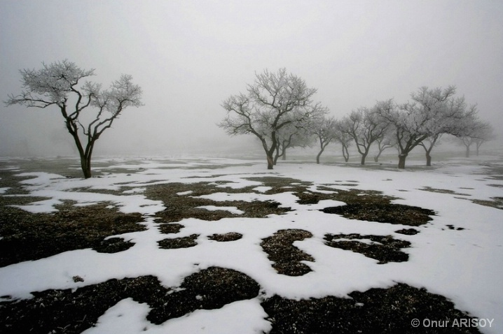 Melting Snow