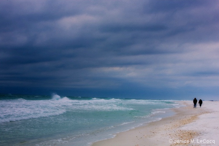 Winter Beach - ID: 5572379 © Janice M. LeCocq