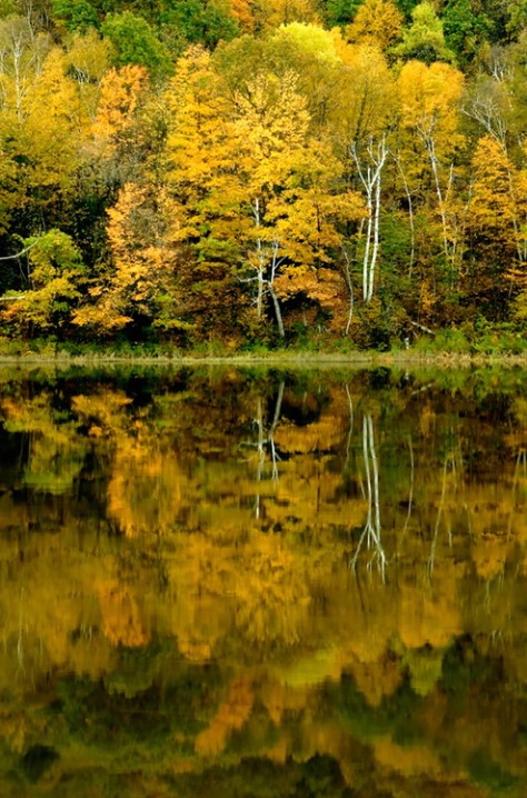 Fall Along the Connecticut River