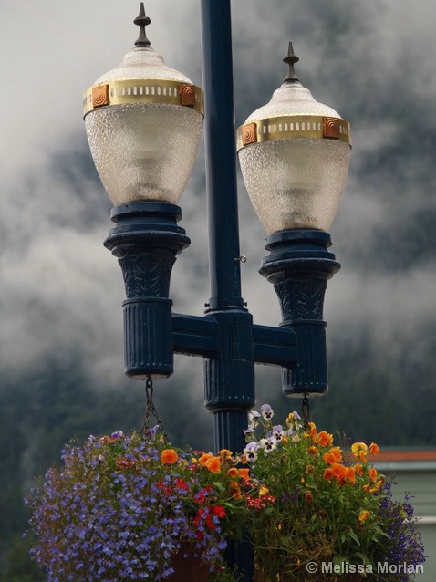 Foggy Lamp Post