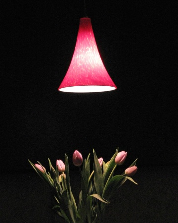 Lamp and Tulips