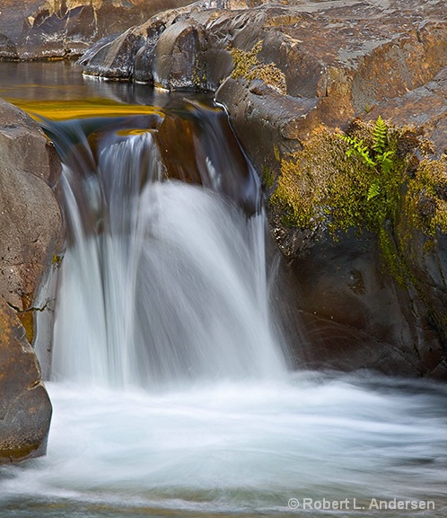 Little Gold Pool