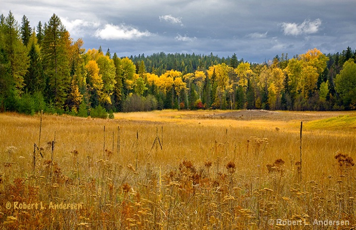 Stormy Pasture