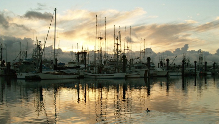 Sundown at the Harbour