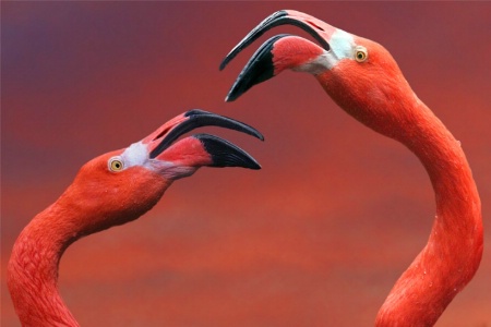 Another Disagreement