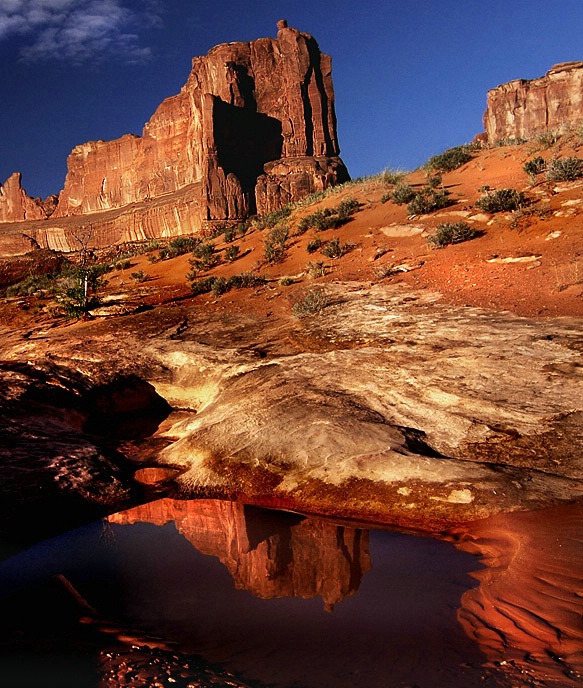 Desert Reflections