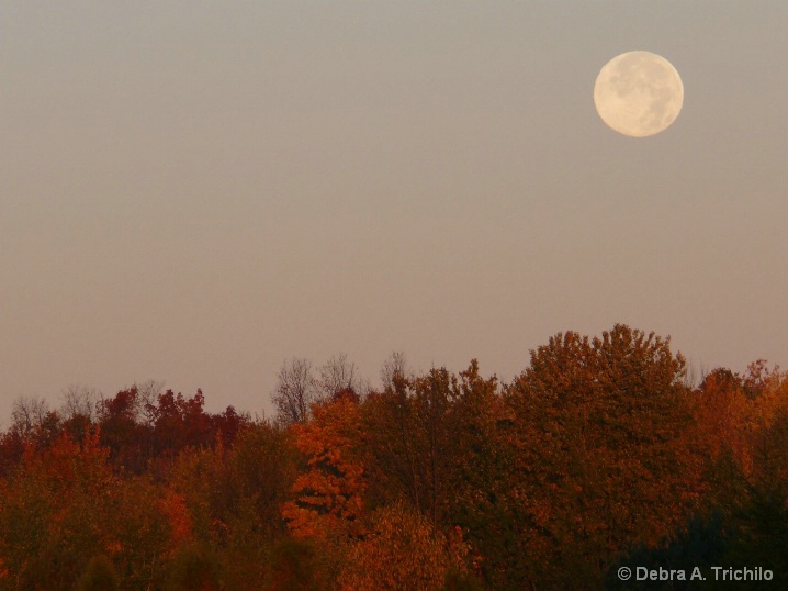 Autumn Moon Setting