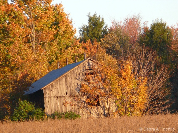 Barn in Autumn Colors