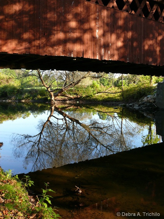 Reflections in the Mill Pond