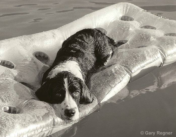 A Day at the Lake