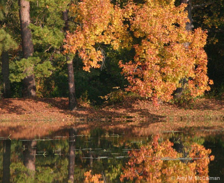 fall_at_the_pond