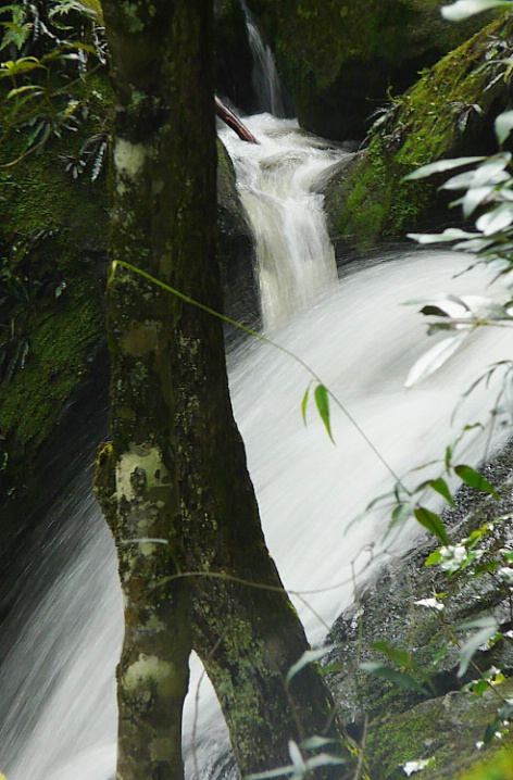 Katoomba Falls