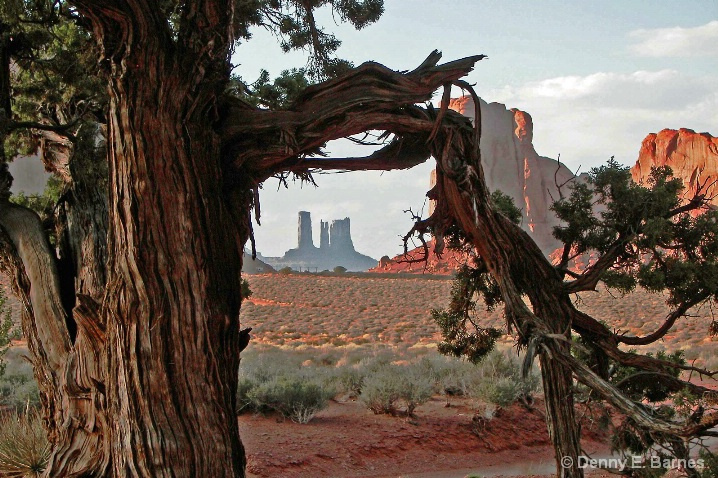 Monument Valley-Navajo Tribal Park, Utah - ID: 5628596 © Denny E. Barnes