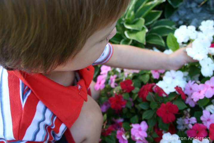 Picking Flowers for Mom