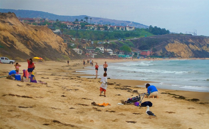 The Cove