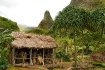 Iao Village Maui