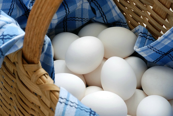 Egg Basket