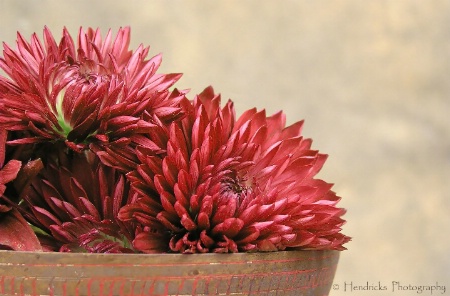 Bowl  Of  Blooms