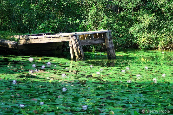 The Secret Fishing Spot