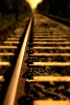 Along the tracks